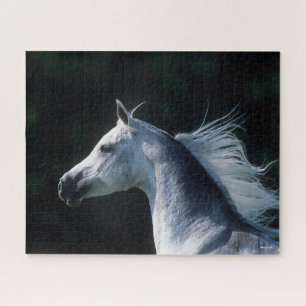 Bob Langrish   Grauer arabischer Headshot 3 Puzzle