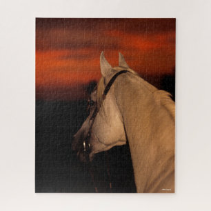 Bob Langrish   Grauer arabischer Headshot bei Suns Puzzle