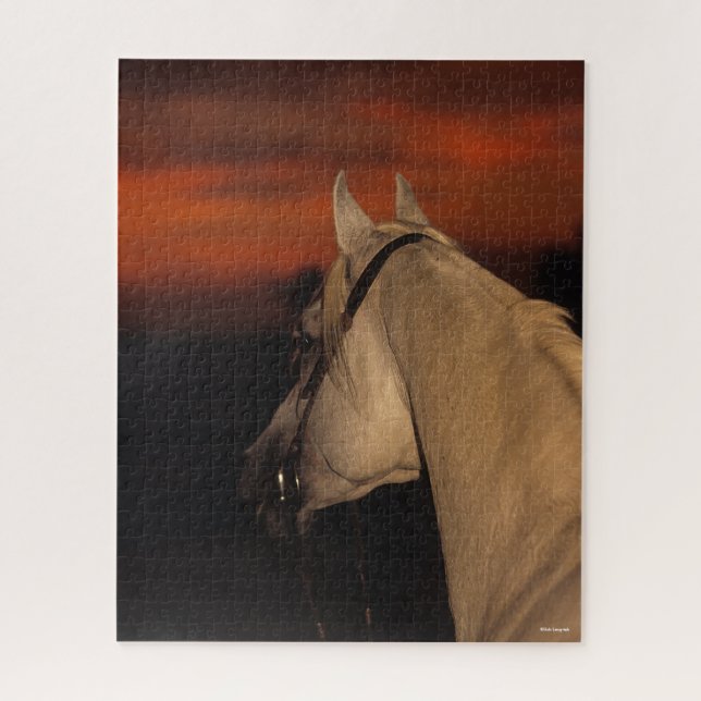 Bob Langrish | Grauer arabischer Headshot bei Suns Puzzle (Vertikal)