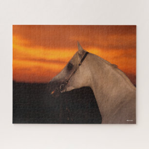 Bob Langrish   Grauer arabischer Headshot bei Suns Puzzle