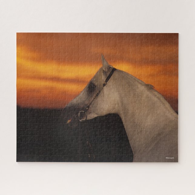 Bob Langrish | Grauer arabischer Headshot bei Suns Puzzle (Horizontal)