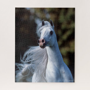 Bob Langrish   Grauer arabischer Stallion-Headshot Puzzle