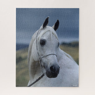 Bob Langrish   Grauer arabischer Stallion-Headshot Puzzle