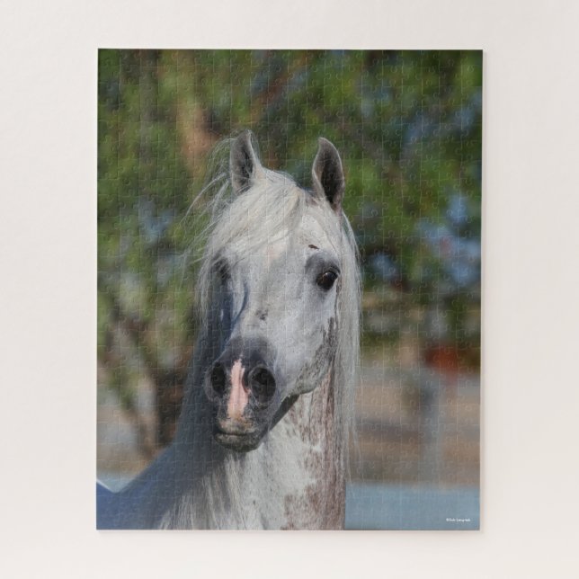 Bob Langrish | Grauer arabischer Stallion-Headshot Puzzle (Vertikal)