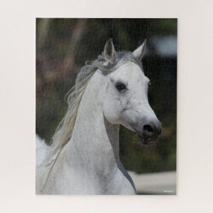 Bob Langrish   Grauer arabischer Stallion-Headshot Puzzle