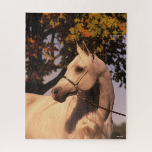 Bob Langrish   Grauer arabischer Stallion Headshot Puzzle