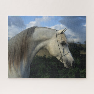 Bob Langrish   Grauer arabischer Stallion-Headshot Puzzle