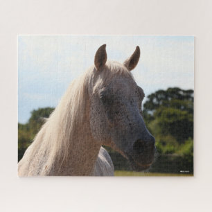 Bob Langrish   Grauer arabischer Stallion Headshot Puzzle