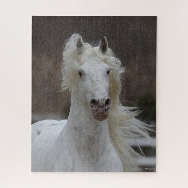 Bob Langrish | Grauer Friesian Appaloosa-Headshot Puzzle (Vertikal)