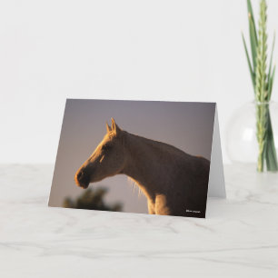 Bob Langrish   Grauer Stehender Backlit Headshot Karte