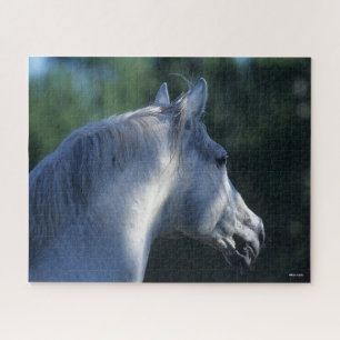 Bob Langrish   Grauer Trakehner-Stallion Headshot Puzzle