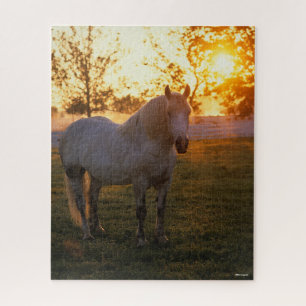 Bob Langrish   Graues Percheron Stehend im Sonnenu Puzzle