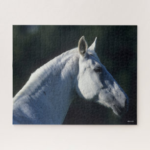 Bob Langrish   Graues Warmblut Stehender Headshot Puzzle