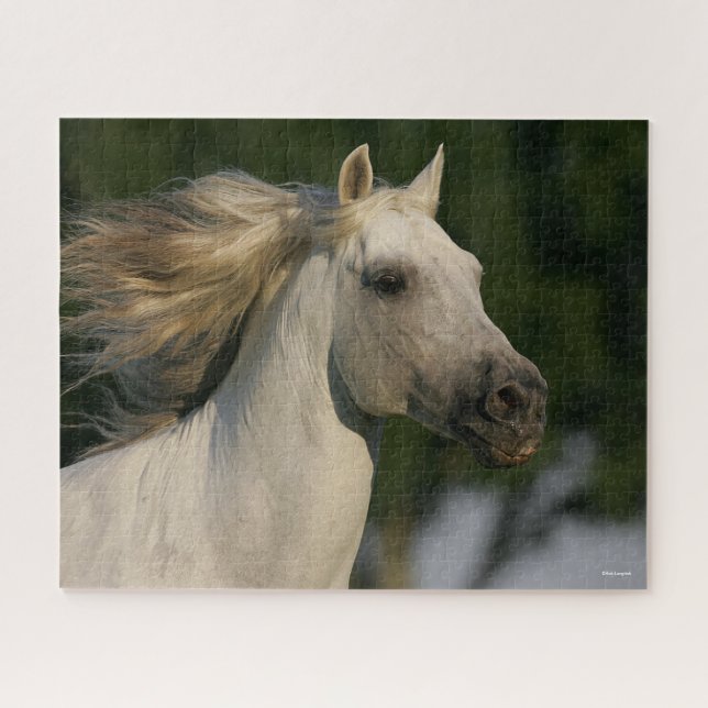 Bob Langrish Gray Andalucian Headshot Mane Flows Puzzle (Horizontal)