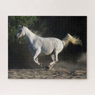 Bob Langrish   Gray Arab Mare Running Puzzle