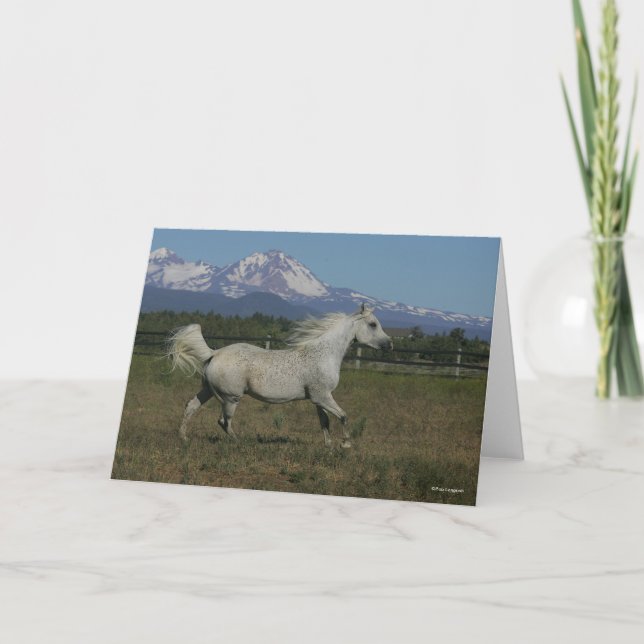 Bob Langrish Gray Arab Running Mountain Hintergrun Karte (Vorderseite)