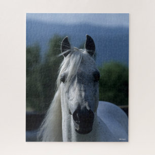 Bob Langrish Gray Arab Stallion Stehender Headshot Puzzle