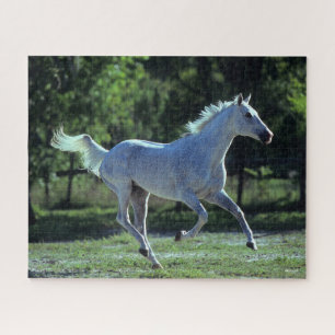 Bob Langrish   Gray Thoroughbred Stallion Running Puzzle