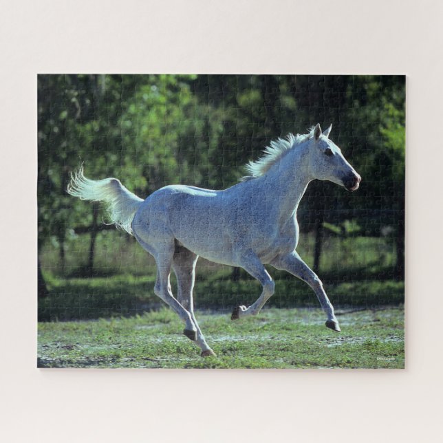 Bob Langrish | Gray Thoroughbred Stallion Running Puzzle (Horizontal)
