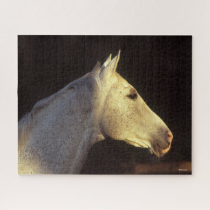 Bob Langrish Grey Thoroughbred Stallion Headshot Puzzle