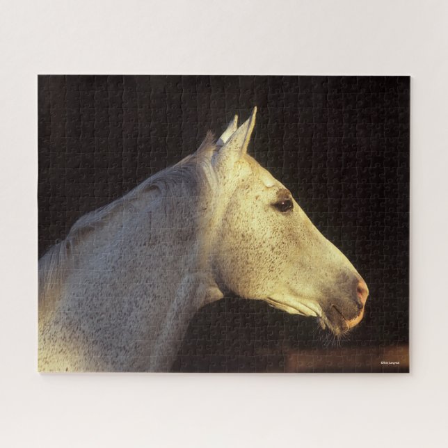 Bob Langrish | Grey Thoroughbred Stallion Headshot Puzzle (Horizontal)
