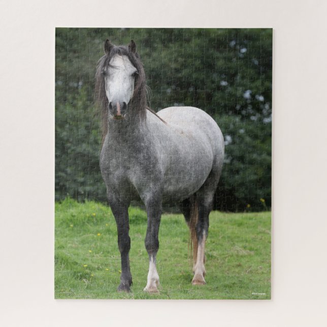 Bob Langrish | Grey Welsh Pony Stehend Puzzle (Vertikal)