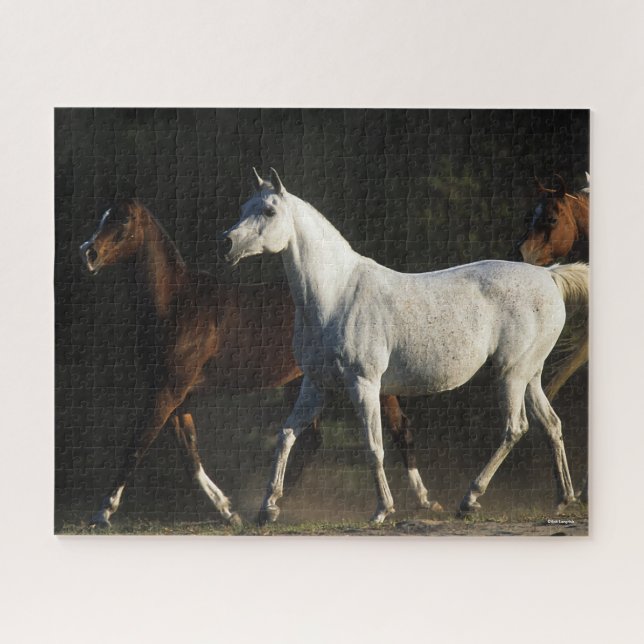 Bob Langrish | Herd Arab Mares Walking Puzzle (Horizontal)