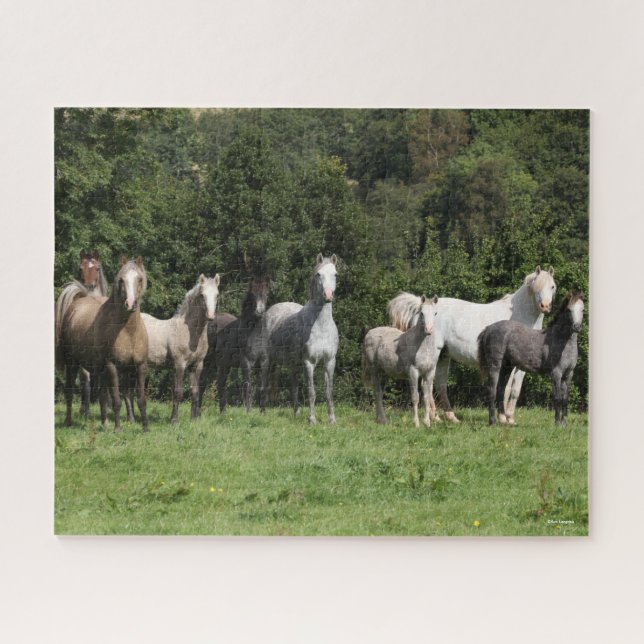 Bob Langrish | Herd der walisischen Ponys Stehend Puzzle (Horizontal)