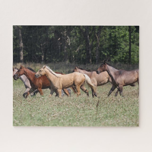 Bob Langrish | Herd Quarter Pferde Wandern Puzzle (Horizontal)
