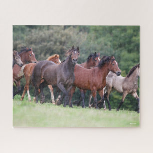 Bob Langrish Herde walisischer Ponys in Field Puzzle