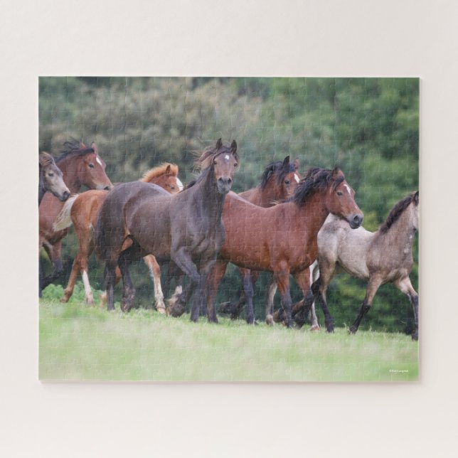 Bob Langrish | Herde walisischer Ponys in Field Puzzle (Horizontal)