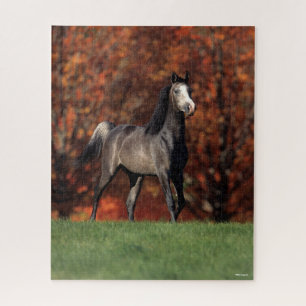 Bob Langrish   Hintergrund des Stehenden arabische Puzzle