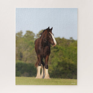 Bob Langrish   Im Feld Stehendes Pferd Puzzle