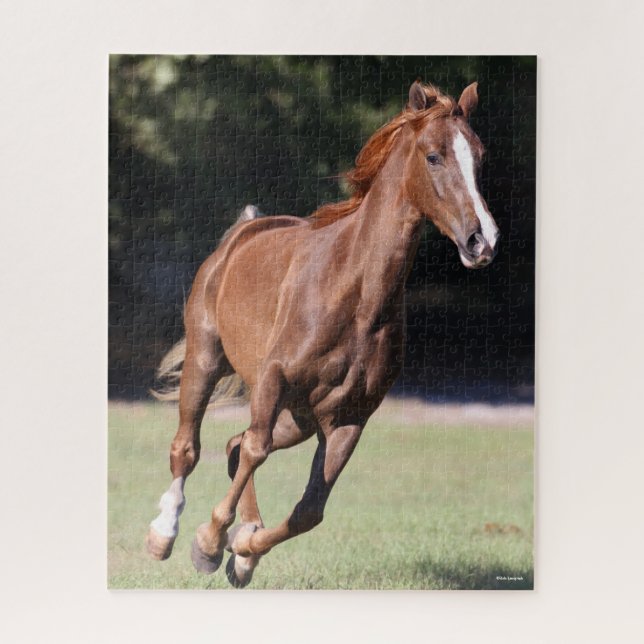 Bob Langrish | Kastanie Tennessee Walker Running Puzzle (Vertikal)