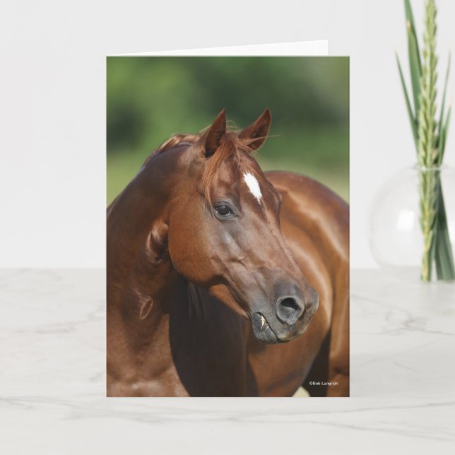 Bob Langrish Kastanienviertel Horse Mare Headshot Karte (Vorderseite)