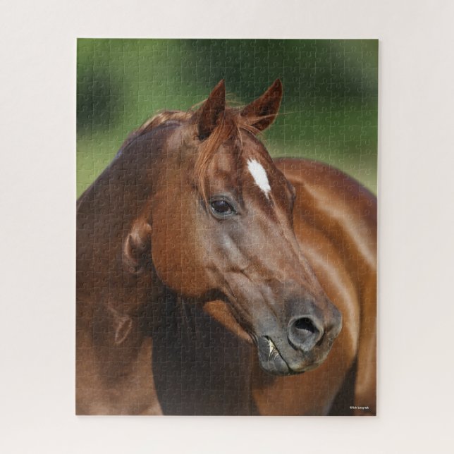Bob Langrish Kastanienviertel Horse Mare Headshot Puzzle (Vertikal)