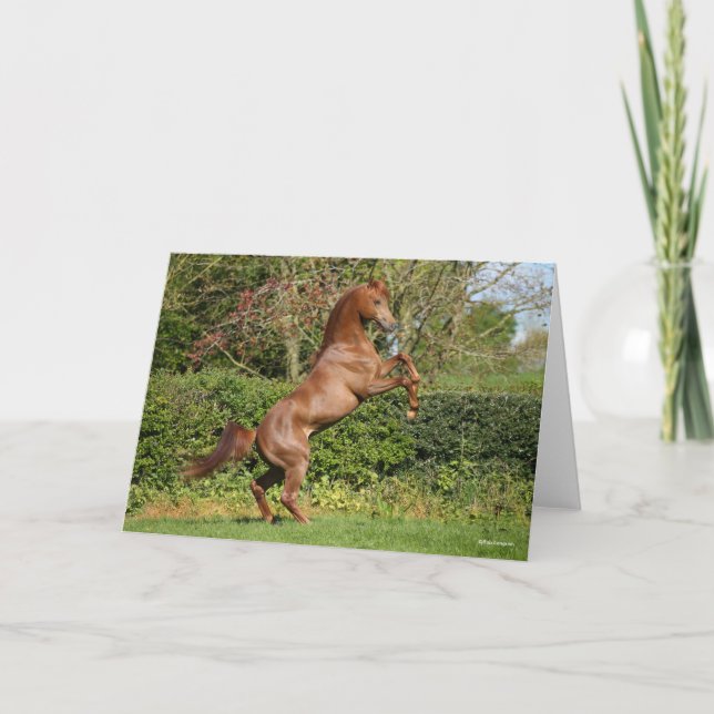 Bob Langrish | Kastanienzucht Karte (Vorderseite)