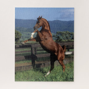 Bob Langrish   Kastanienzucht Puzzle