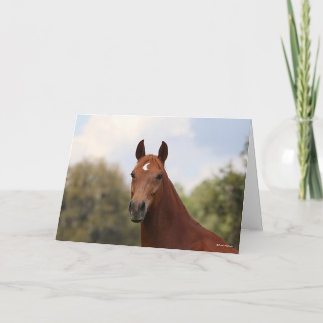 Bob Langrish | Kastanuss Oldenburg Karte (Vorderseite)