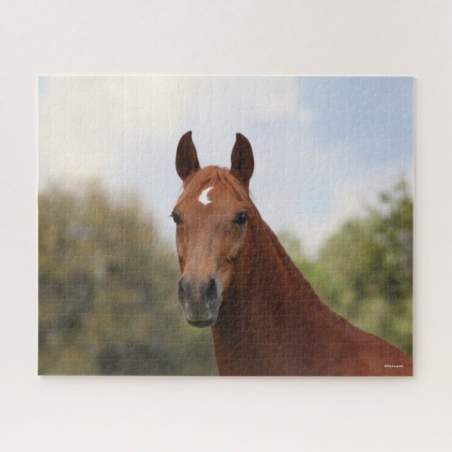 Bob Langrish | Kastanuss Oldenburg Puzzle (Horizontal)