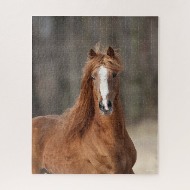 Bob Langrish | Kastnut Hackney Headshot Puzzle (Vertikal)