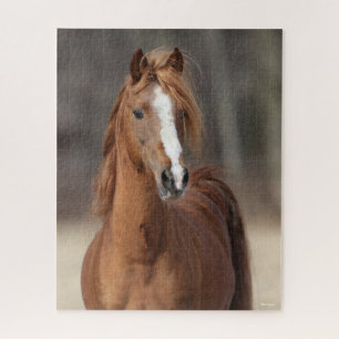 Bob Langrish   Kastnut Hackney Pony Headshot Puzzle