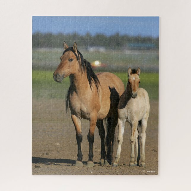 Bob Langrish Kiger Mustang Mare und Foal Stehend Puzzle (Vertikal)
