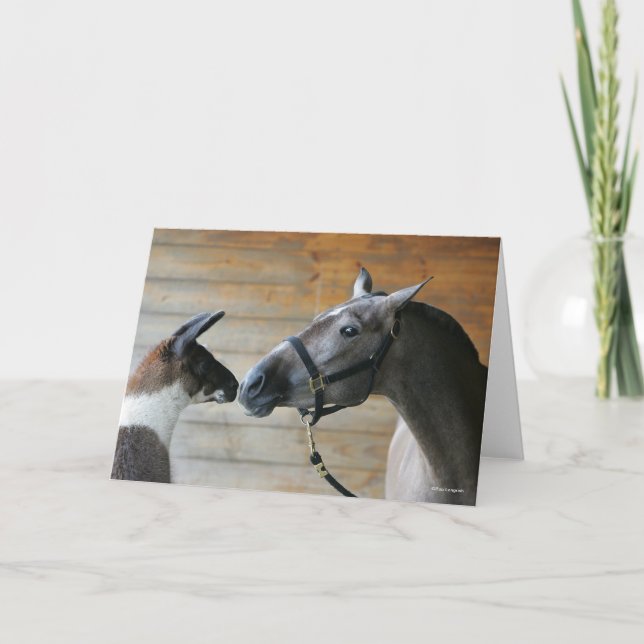 Bob Langrish Llama und Andalusischer Meeting Heads Karte (Vorderseite)