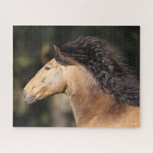 Bob Langrish Lusitano Headshot Mane Flows Puzzle