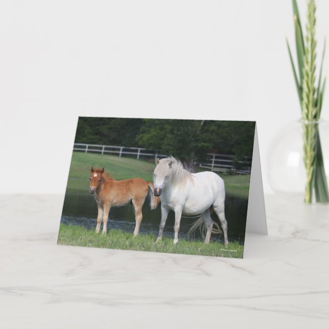 Bob Langrish Miniature Pony Mare und Foal Stehend Karte (Vorderseite)
