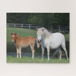 Bob Langrish Miniature Pony Mare und Foal Stehend Puzzle