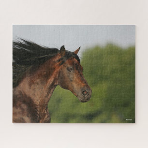 Bob Langrish Morgan Horse Headshot Mane Puzzle