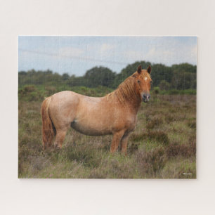 Bob Langrish   Neuer in Scrub Stehender Waldbestan Puzzle