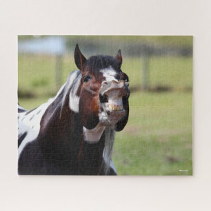 Bob Langrish   Paint Horse Hallion Flehmen Puzzle